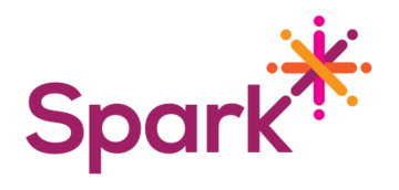 SPARK Fellowship Program